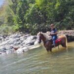 Horseback Riding tour near Santo Domingo with pick up and dropoff - In-Depth Review of the Horseback Riding Near Santo Domingo Experience