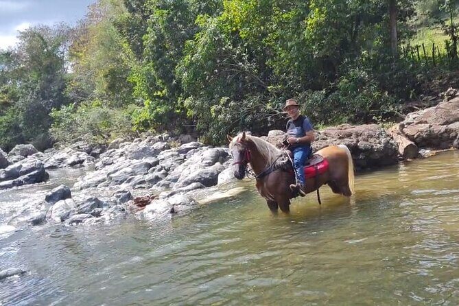 Horseback Riding tour near Santo Domingo with pick up and dropoff - In-Depth Review of the Horseback Riding Near Santo Domingo Experience