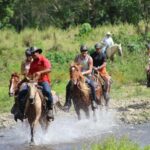 Horseback Riding Tour of Punta Cana - What to Expect from the Horseback Riding Experience