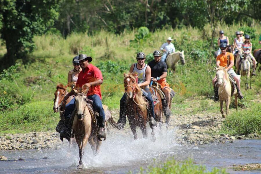 Horseback Riding Tour of Punta Cana - What to Expect from the Horseback Riding Experience