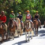 Horseback Riding Tour on the Beaches of Punta Cana - The Detailed Itinerary