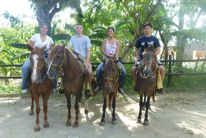 Horseback riding tours from amber cove & Taino bay port silver - The Sum Up