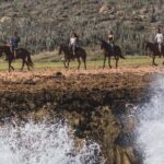 Horseback Riding Wariruri Beach Tour in Aruba - A Closer Look at the Itinerary