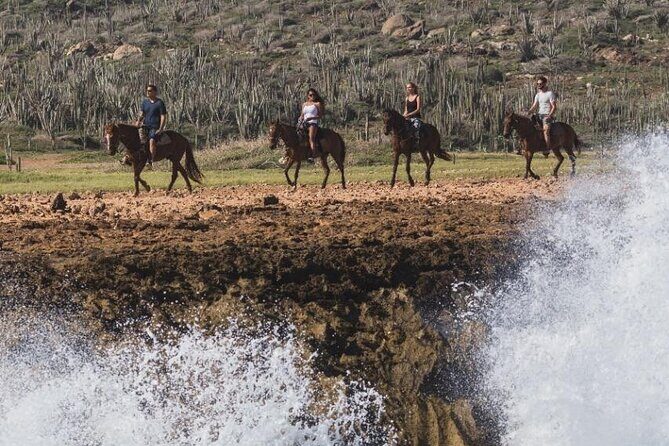 Horseback Riding Wariruri Beach Tour in Aruba - A Closer Look at the Itinerary