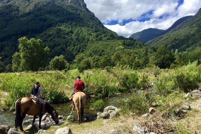 Horseback Trailride Excursion - Final Thoughts