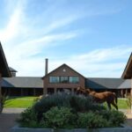 Horses, Asado & Nature. A day at a thoroughbred farm - A Closer Look at the Experience