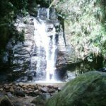 Horto Waterfalls Circuit Adventure Tour in Tijuca National Park - Who Should Consider This Tour?