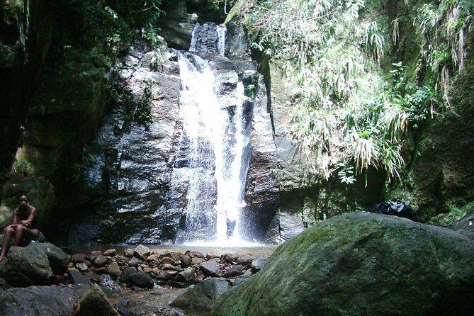 Horto Waterfalls Circuit Adventure Tour in Tijuca National Park - Who Should Consider This Tour?