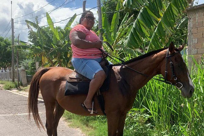 Hour Horseback Riding Guided Tour from Runaway Bay