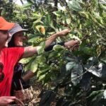 Huayopata Coffee or Cocoa 2-Day Private Tour - The Journey Begins: From Cusco to Huayopata