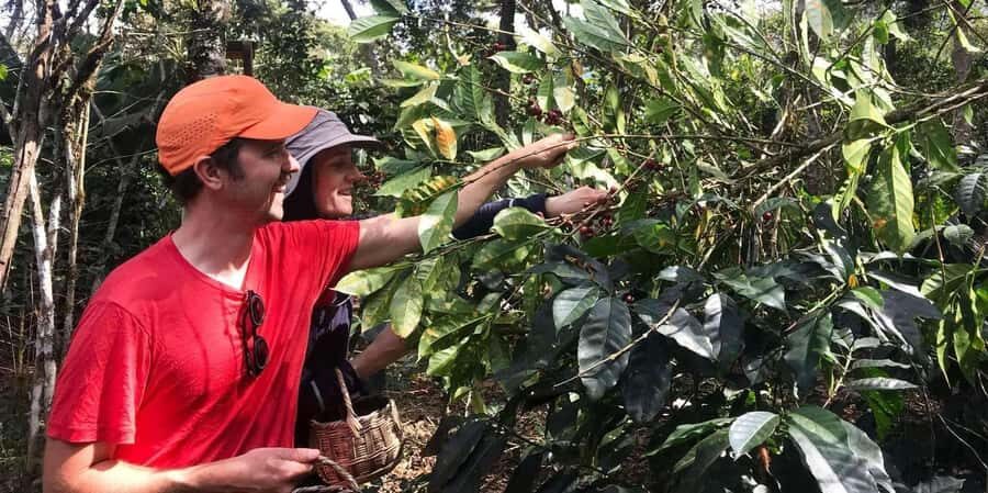 Huayopata Coffee or Cocoa 2-Day Private Tour - The Journey Begins: From Cusco to Huayopata