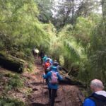 Huerquehue National Park full day - In-Depth Review of the Huerquehue National Park Full-Day Tour