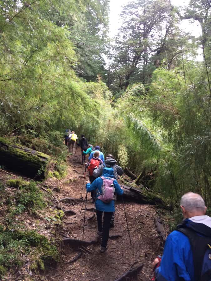 Huerquehue National Park full day - In-Depth Review of the Huerquehue National Park Full-Day Tour