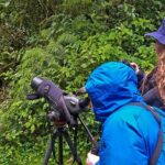 HUMMINGBIRD EXPEDITION - Searching for the cloud forest jewels. - Frequently Asked Questions