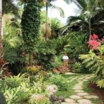 Hunte's Gardens - In-Depth Review of Hunte’s Gardens: An Authentic Tropical Escape