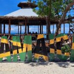 Hyatt zilara or ziva EXCLUSIVE private airport transfer services - Practical Tips for Your Transfer