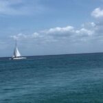 Iberostar Dominicana - Round Trip Shuttle - Punta Cana Airport - In-Depth Review: Seamless Transfers with a Personal Touch