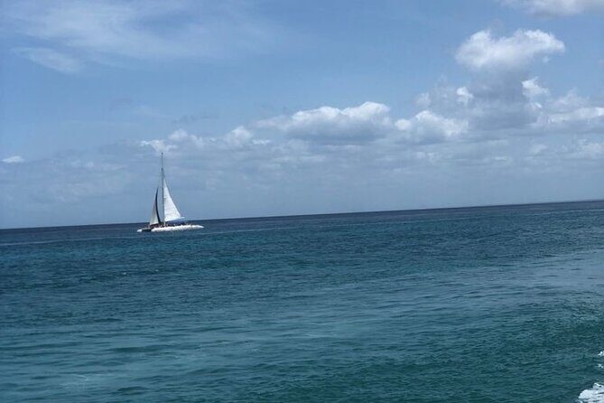 Iberostar Dominicana - Round Trip Shuttle - Punta Cana Airport - In-Depth Review: Seamless Transfers with a Personal Touch