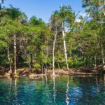 Iberostar Selection Bavaro - Round Trip Shuttle - Punta Cana Airport - Why Choose This Transfer?