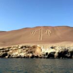 Ica: Ballestas Island & Paracas Reserve Private Tour - Summary: Why Choose This Tour?
