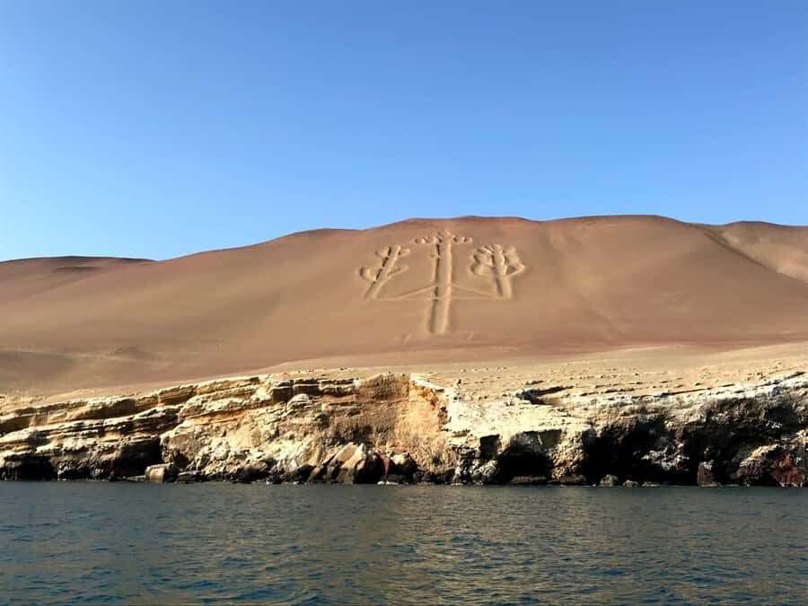 Ica: Ballestas Island & Paracas Reserve Private Tour - Summary: Why Choose This Tour?
