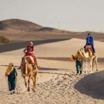 Ica: Camel ride + Swimming pool - Practical Details and What to Expect