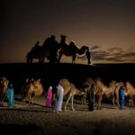 Ica: Dromedaries | swimming pool, games, mini-farm | - Who Will Love This Tour?