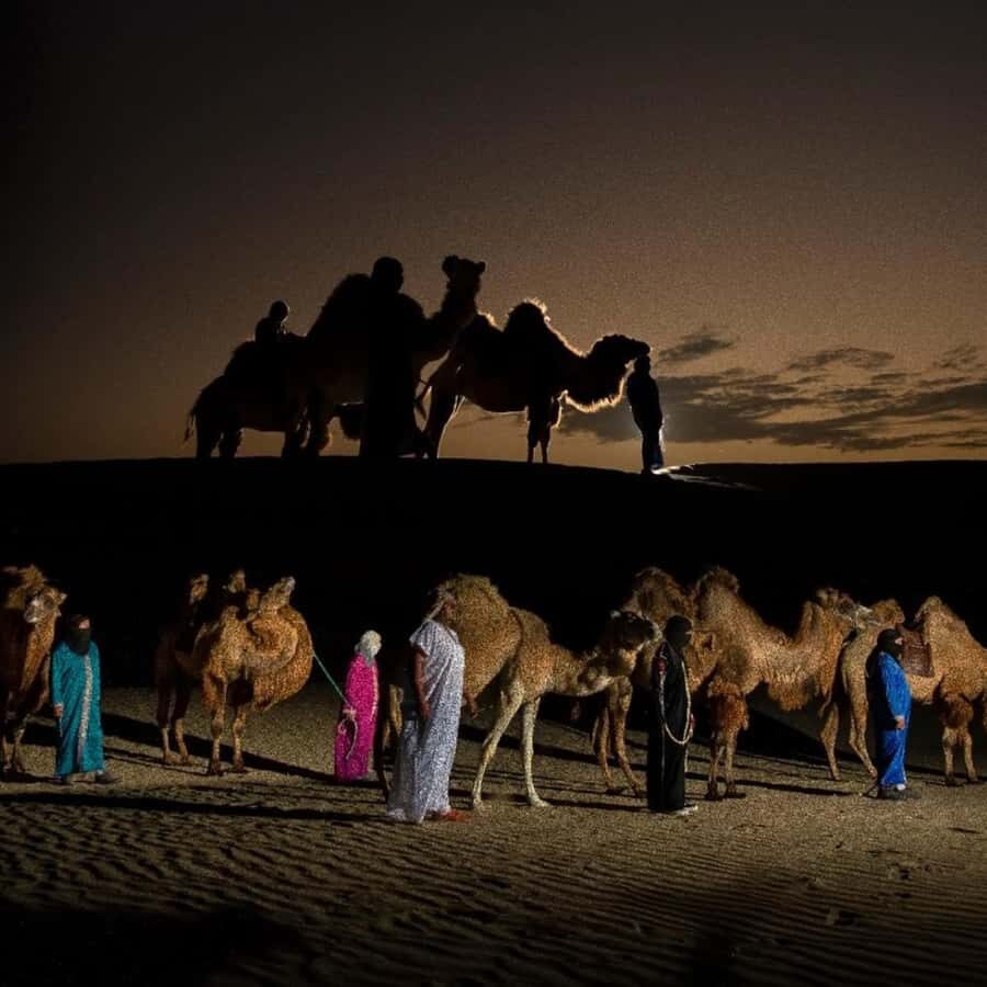 Ica: Dromedaries | swimming pool, games, mini-farm | - Who Will Love This Tour?