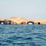 Ica: Excursion Ballestas Islands & Paracas National Reserve - The Experience – Pros and Cons