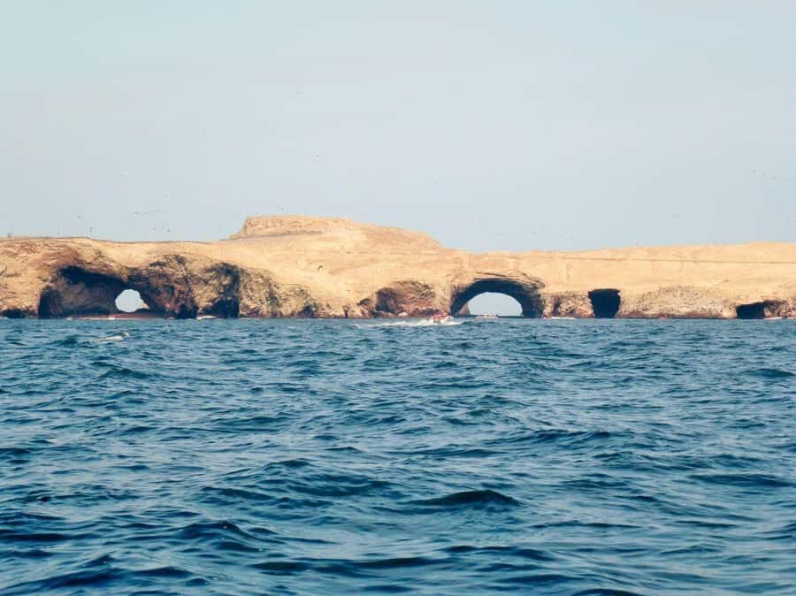 Ica: Excursion Ballestas Islands & Paracas National Reserve - The Experience – Pros and Cons