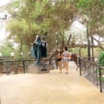 Ica Explora: Discover the Magic of Ica in a Day+Wine Tasting - The Practicalities: Transport, Cost, and Group Size