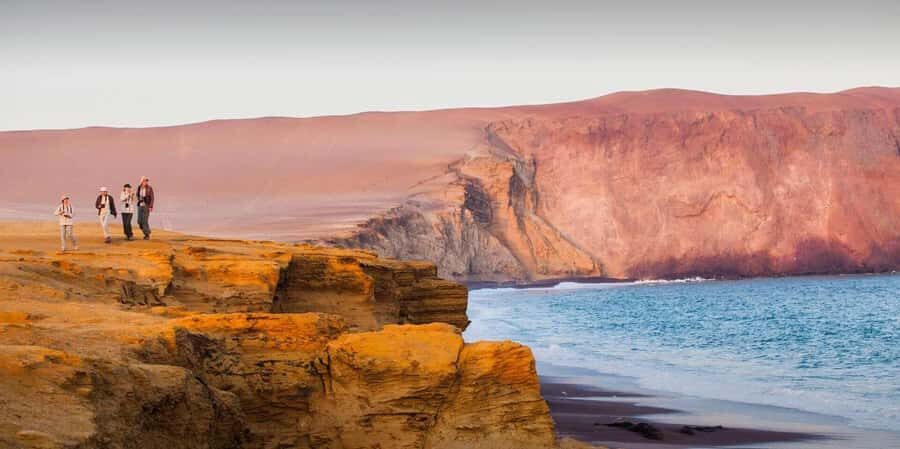 Ica & Huacachina + Ballestas Islands Day Trip - Analyzing the Value