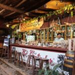 Ica - Paracas Full day - Detailed Breakdown of the Tour