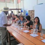 Ica: Pisco and Peruvian Wine Route - The Sum Up: Is It Worth It?