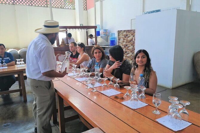 Ica: Pisco and Peruvian Wine Route - The Sum Up: Is It Worth It?