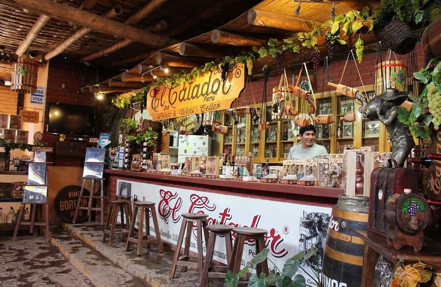 ICA - Pisco and Wine Tasting Experience - What Makes This Tour Stand Out?