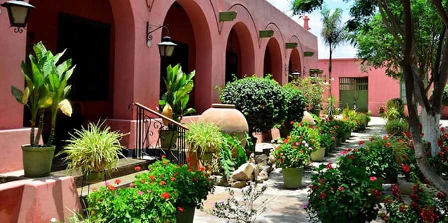 ICA | PISCO AND WINE TOUR WITH DESERT TRIP - Exploring the Ica Pisco and Wine Tour in Detail