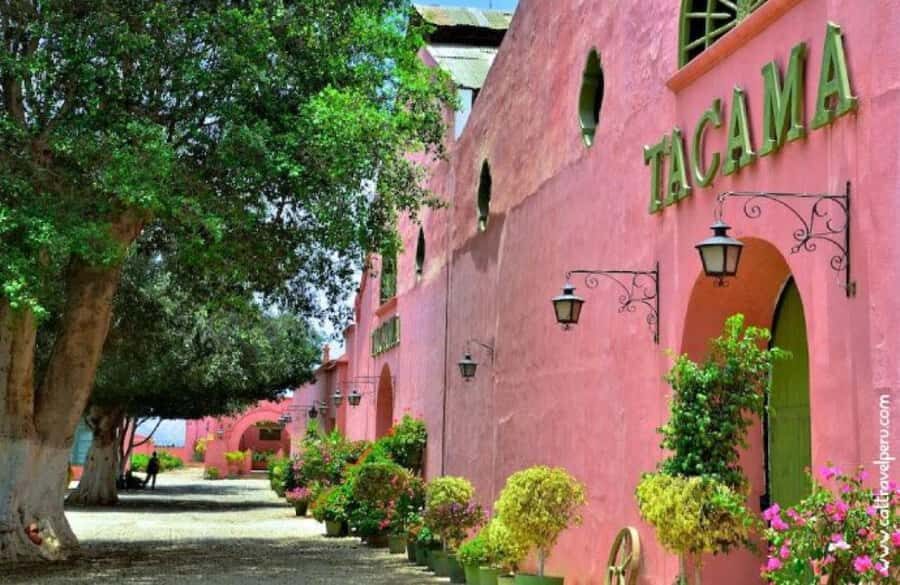 Ica: Pisco Route | Tacama, Arrabal, Bodega Lovera | - A Deep Dive into the Pisco Route Experience