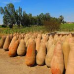 Ica: Private City Tour & Wine Tasting - Who Will Appreciate This Tour?