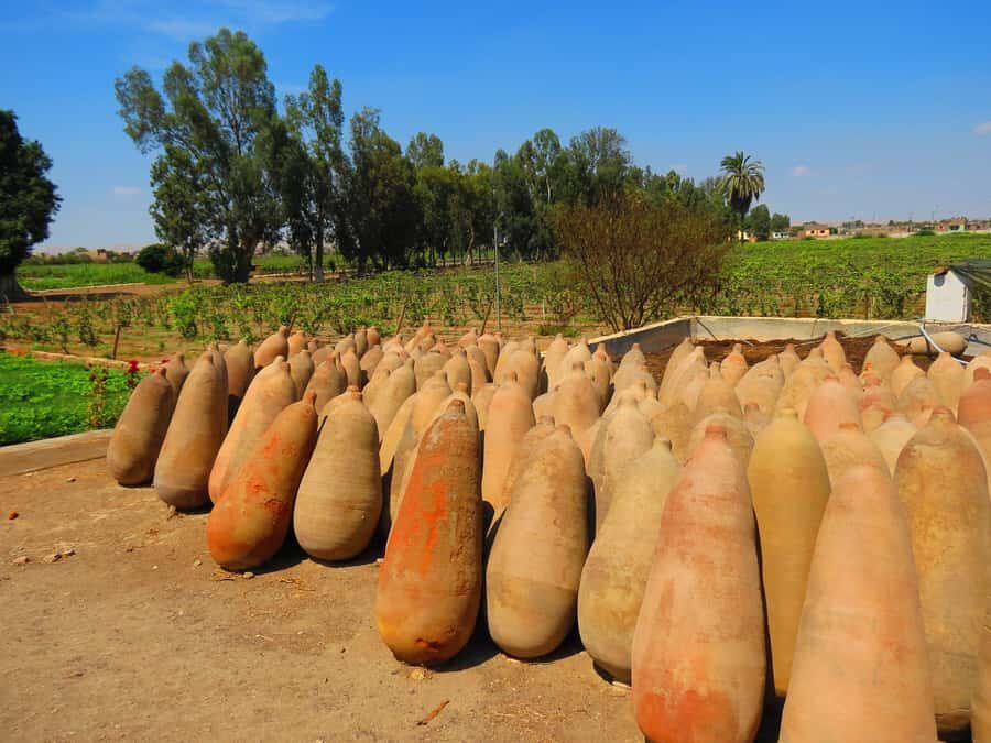 Ica: Private City Tour & Wine Tasting - Who Will Appreciate This Tour?