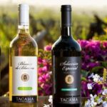 Ica: Tacama Pisco Route, Arrabal, Lovera Winery - What Makes the Wineries Special?