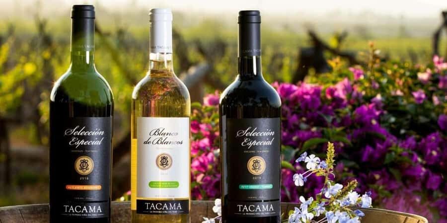 Ica: Tacama Pisco Route, Arrabal, Lovera Winery - What Makes the Wineries Special?