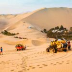 Ica: tour de pisco y vino con viaje al desierto - Marveling at the Oasis: Huacachina