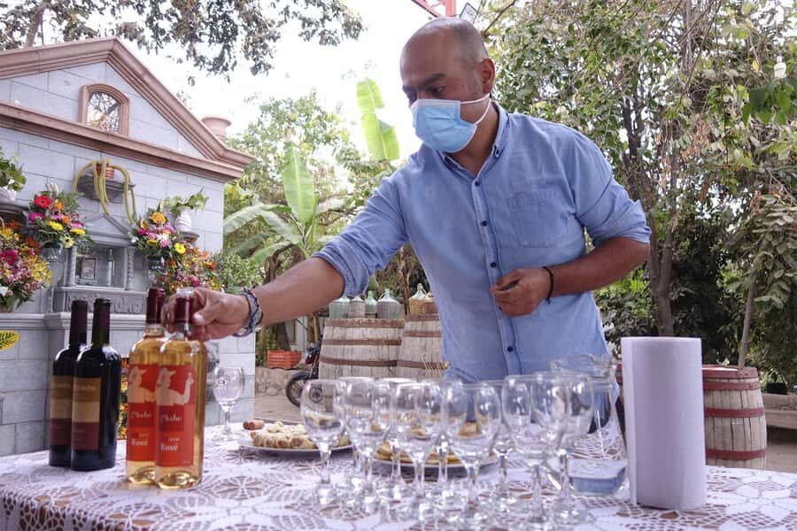 Ica: Wine and Pisco Tasting Tour - In-depth Look at Each Stop