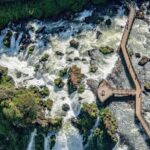 Iguaçu Bird and Waterfall Park - A Closer Look at the Itinerary and Highlights