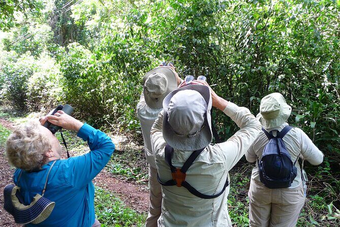 Iguazu Expeditions Morning Birdwatching - FAQs