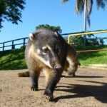 Iguazu Falls Private Day Trip from Buenos Aires with Airfare - Why This Tour Works