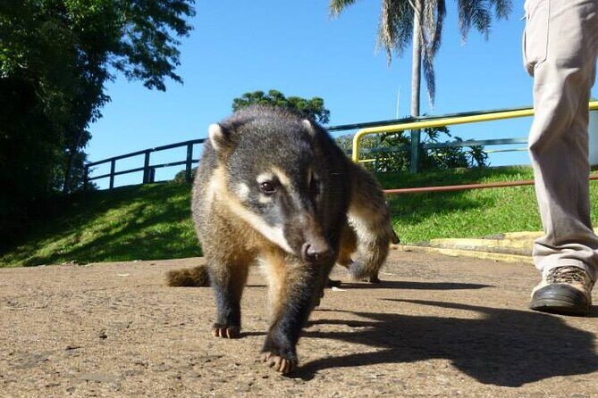 Iguazu Falls Private Day Trip from Buenos Aires with Airfare - Why This Tour Works