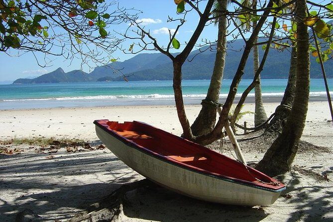 Ilha Grande - From Abrãao: Lopes Mendes beach tour & trekking - Practical Tips for Your Trip