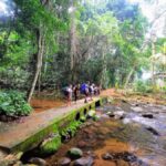 Ilha Grande: Private Hiking with Forest, Beaches & Waterfall - A Personal Look at the Ilha Grande Hiking Adventure